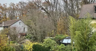 von_poll_real_estate_property_25065044_image_16