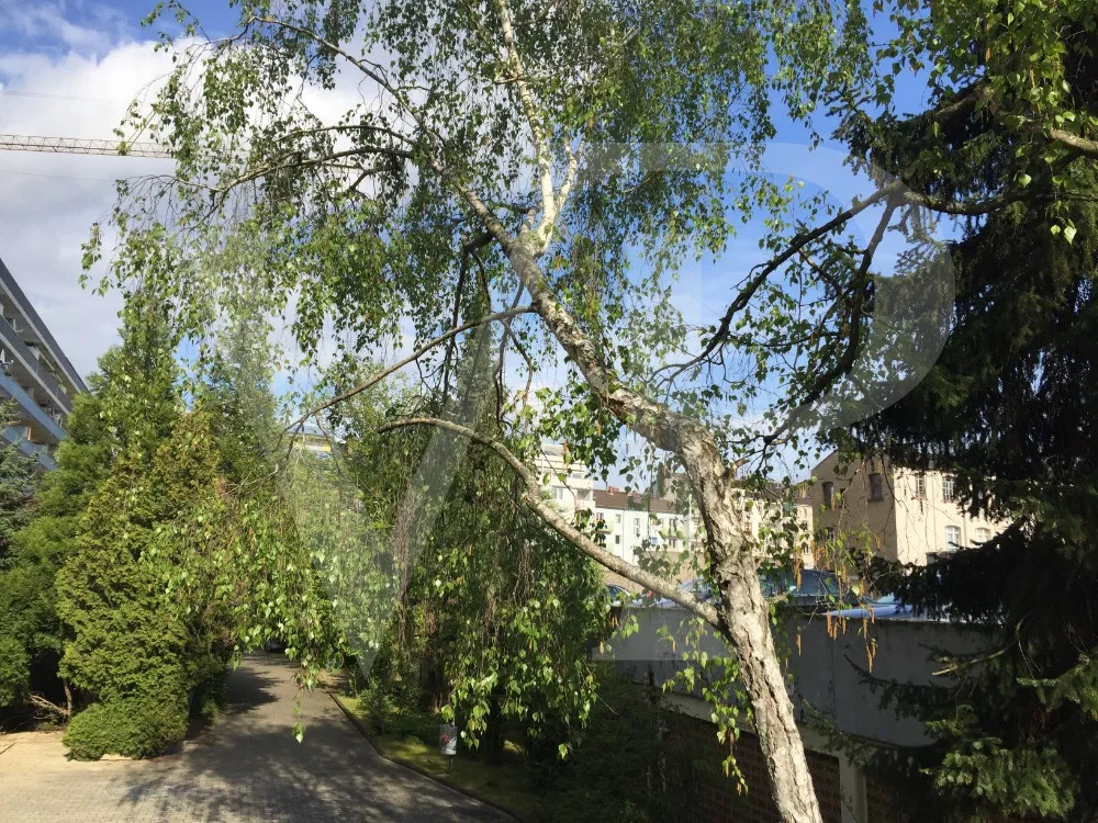 Gartenbereich