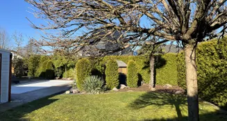 von_poll_real_estate_property_26065006_image_2