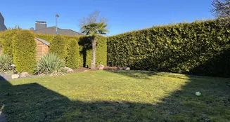 von_poll_real_estate_property_26065006_image_3