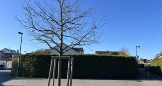 von_poll_real_estate_property_26065006_image_9