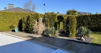 von_poll_real_estate_property_26065006_image_5