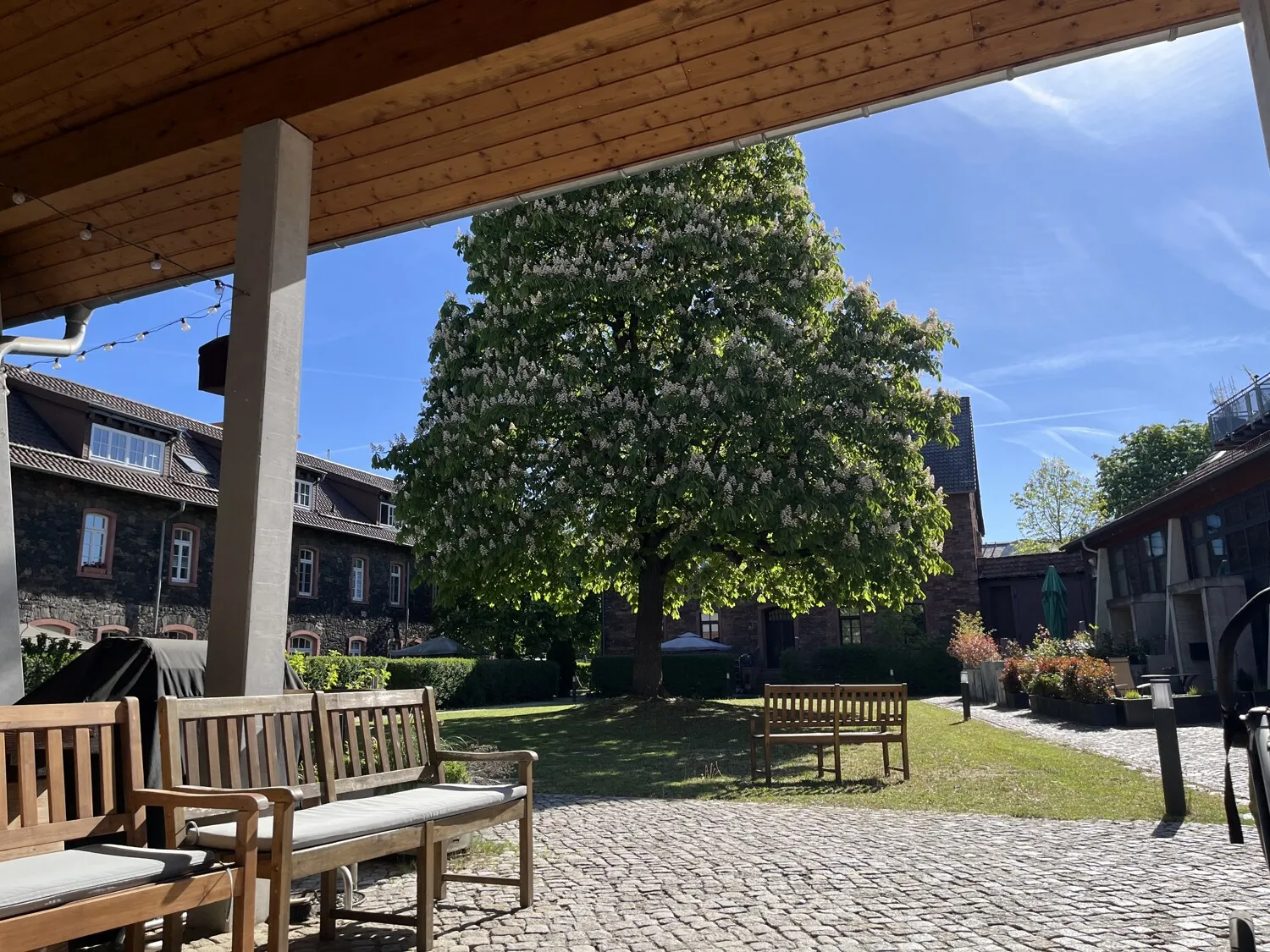 Gemeinschaftsgarten3