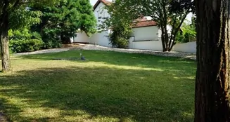 von_poll_real_estate_property_25065047_image_9