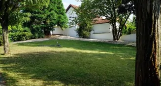 von_poll_real_estate_property_25065047_image_9