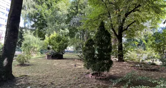 von_poll_real_estate_property_25065043_image_20