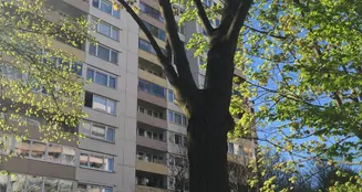 von_poll_real_estate_property_25065042_image_13