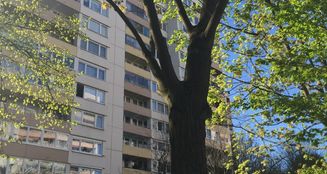 von_poll_real_estate_property_25065042_image_13