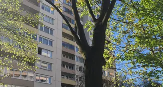 von_poll_real_estate_property_25065042_image_13