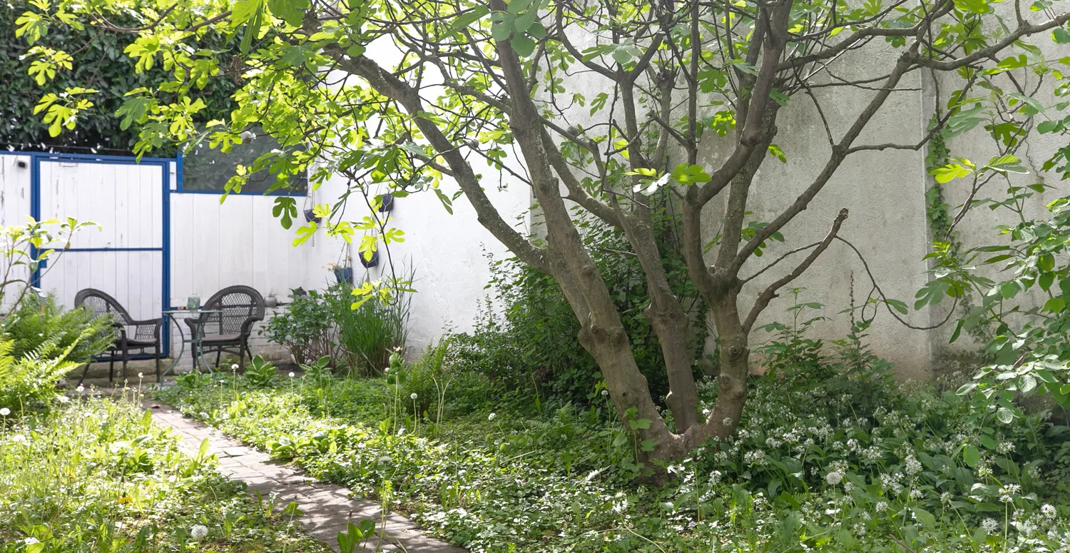 Garten mit Baumbestand