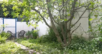 von_poll_real_estate_property_25065023_image_19