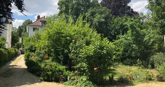 von_poll_real_estate_property_23065050_image_10