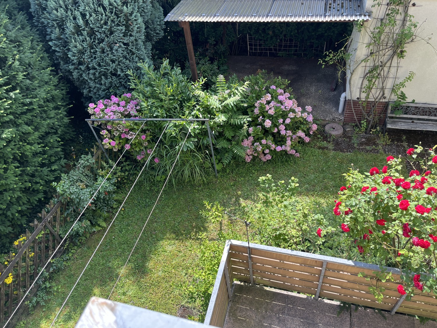 Ausblick Balkon auf  Garten mit Laube