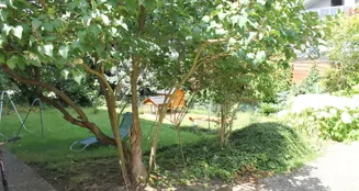 von_poll_real_estate_property_24065036_image_13