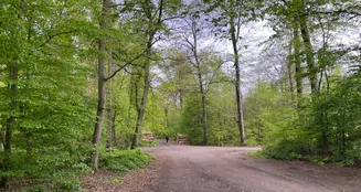 von_poll_real_estate_property_24065036_image_16