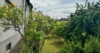 von_poll_real_estate_property_24065038_image_31