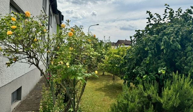 Anblick Hofeinfahrt