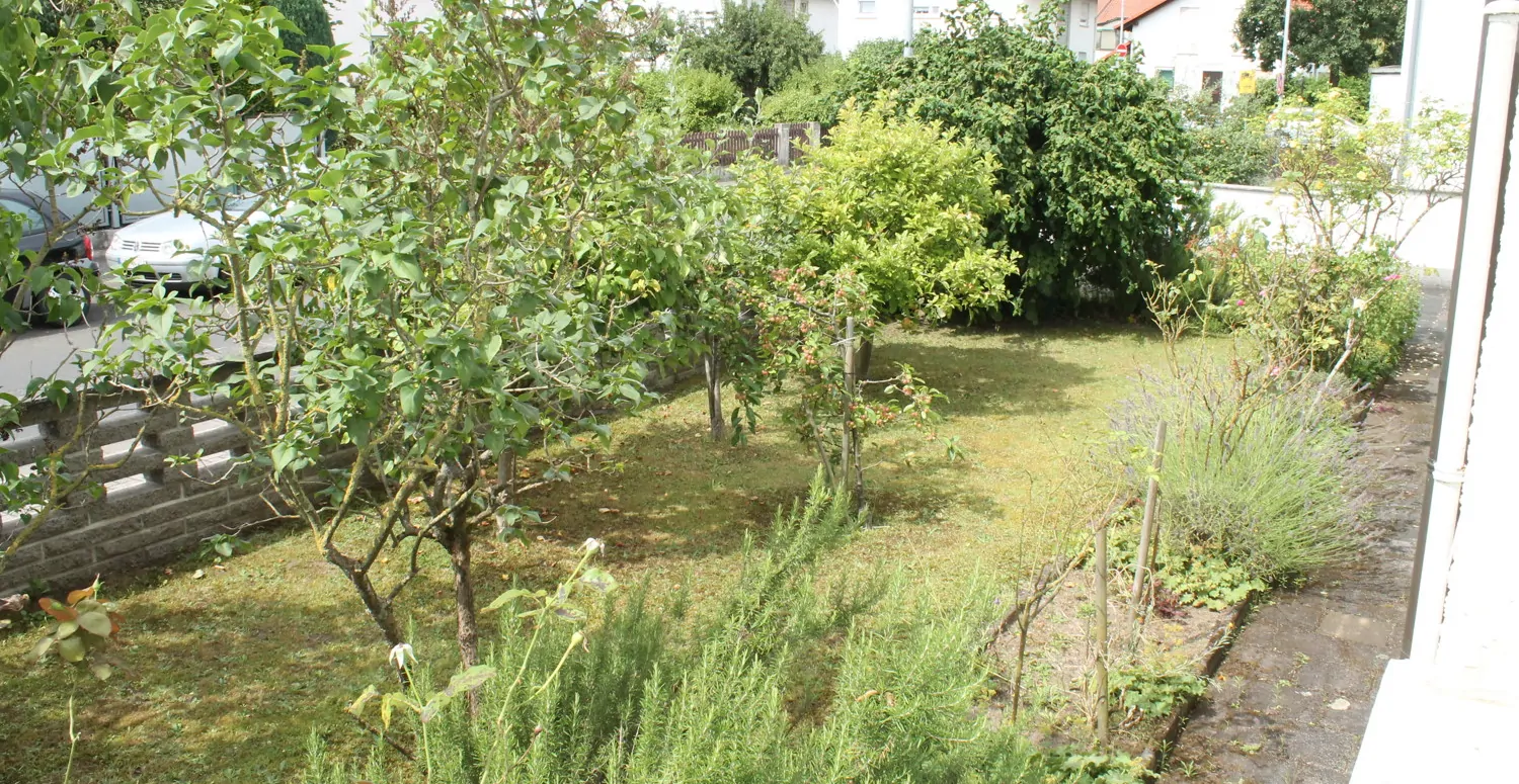 Ausblick Straßenseits Etage 1 Vorgarten
