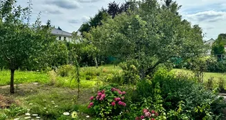 von_poll_real_estate_property_24065038_image_28