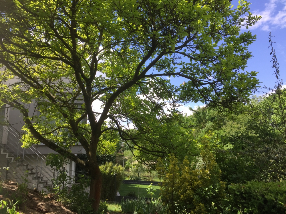 Ausblick Wintergarten