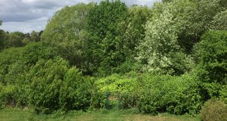 von_poll_real_estate_property_24065050_image_16