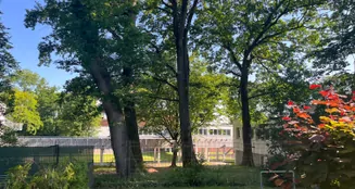 von_poll_real_estate_property_25065010_image_3