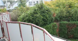 von_poll_real_estate_property_25065014_image_3