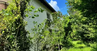 von_poll_real_estate_property_25065018_image_5