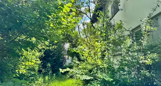 von_poll_real_estate_property_25065018_image_6