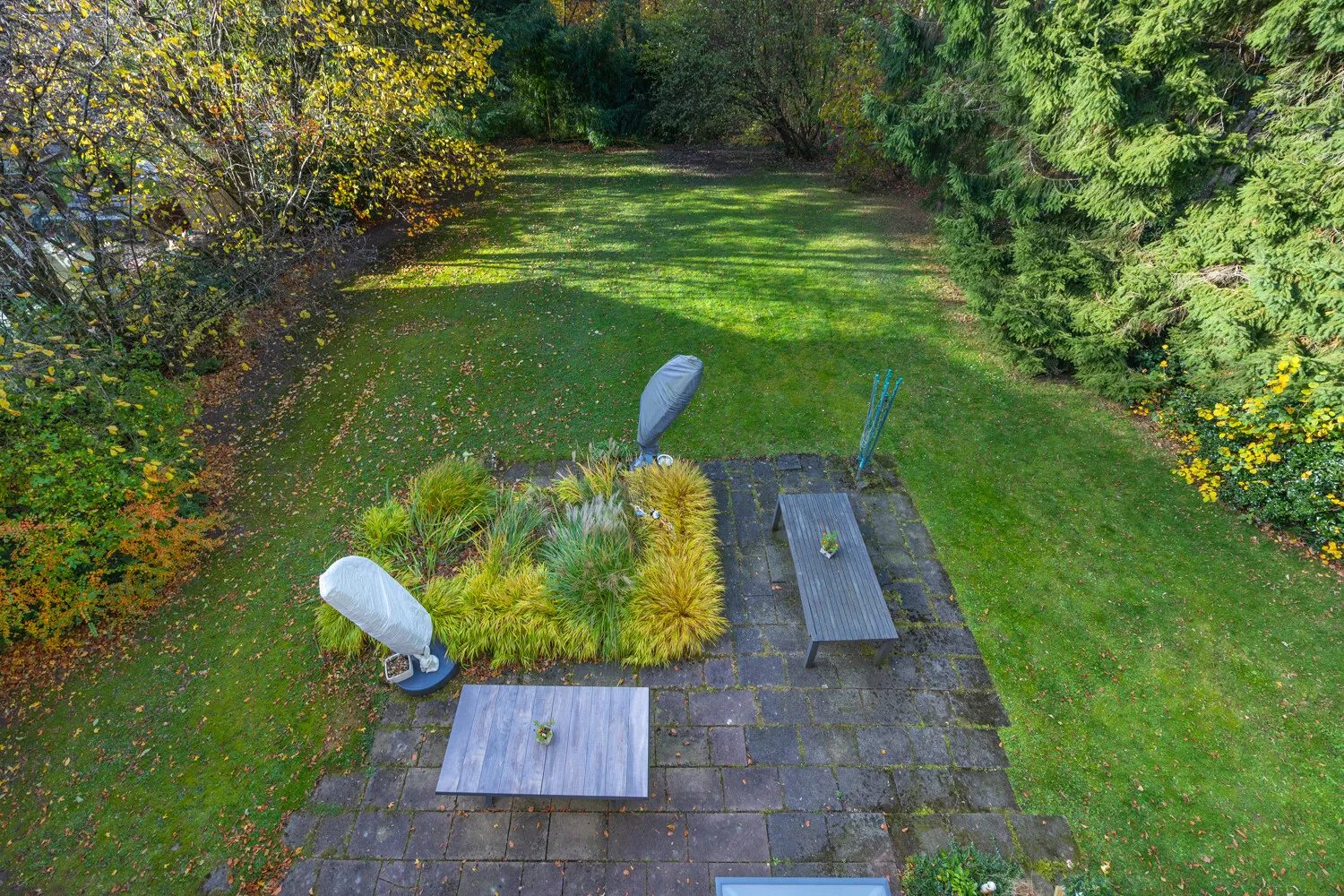 Sicht auf Garten