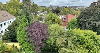 von_poll_real_estate_property_25063033_image_8