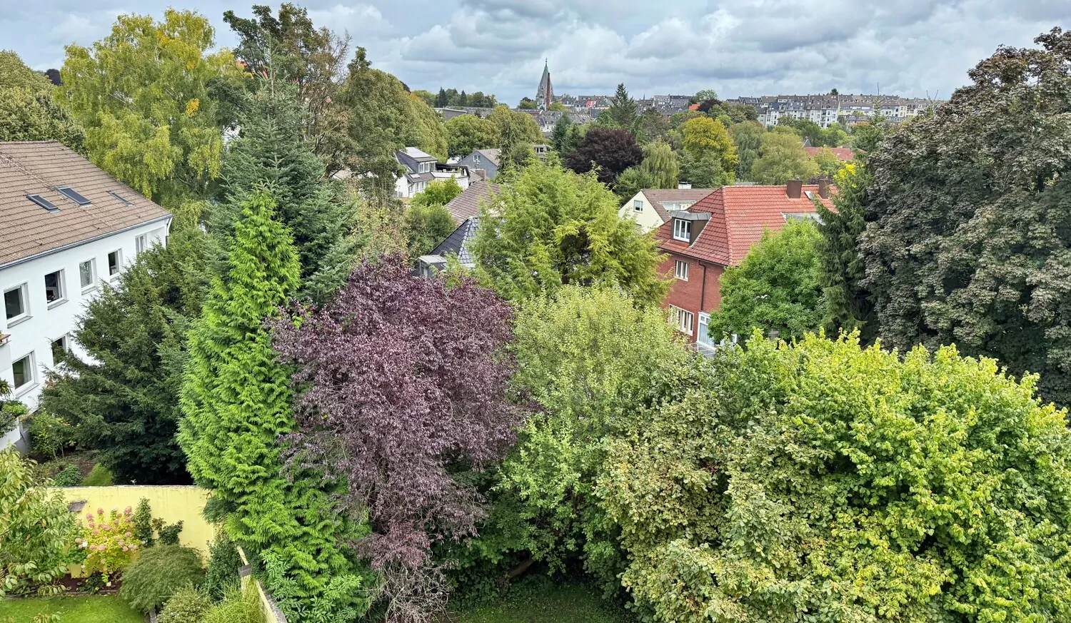 Blick von der Küche