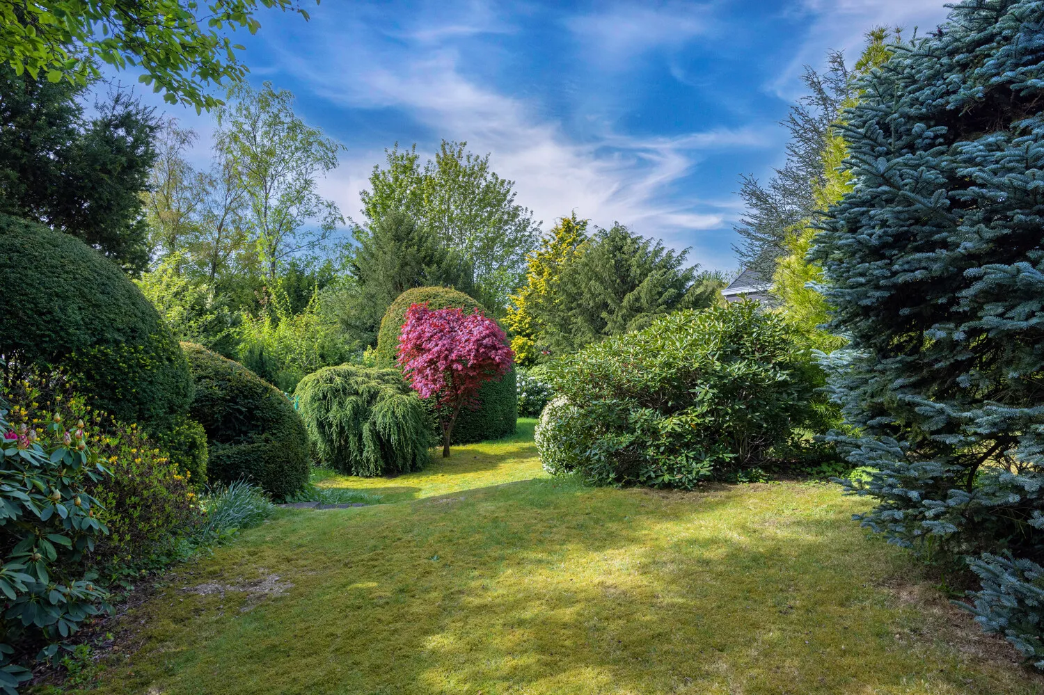 Blick in den Garten