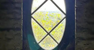 von_poll_real_estate_property_25063017_image_15