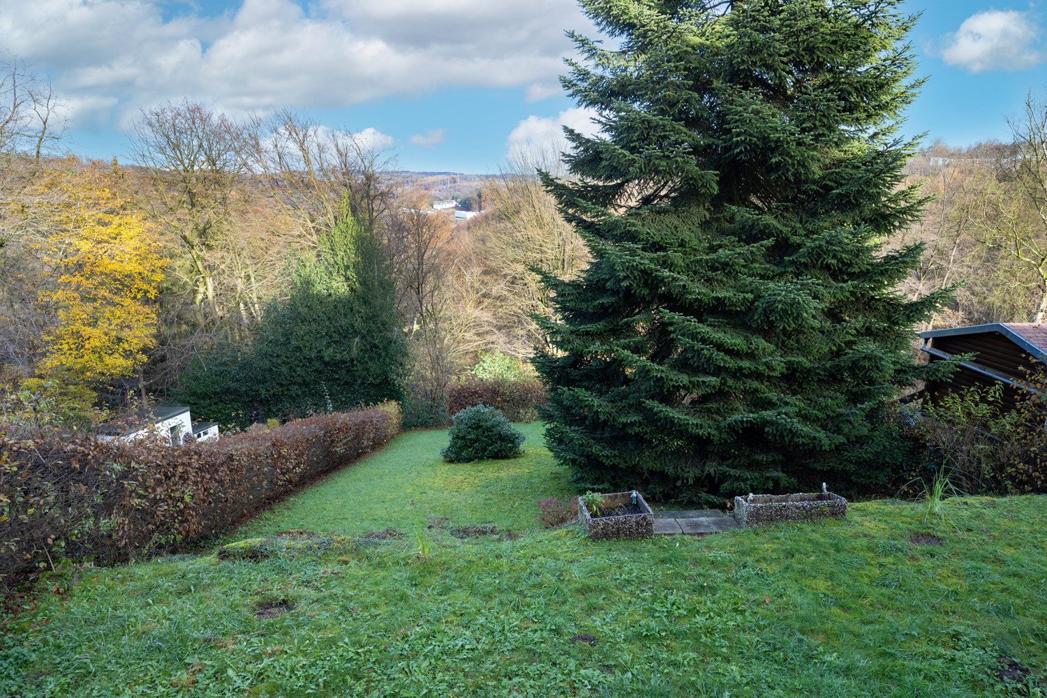 Gartenfläche hinter dem Haus