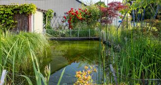 von_poll_real_estate_property_25063021_image_9