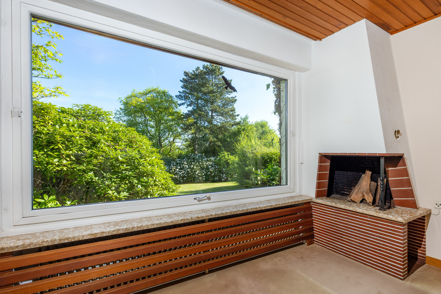 Blick in den Garten