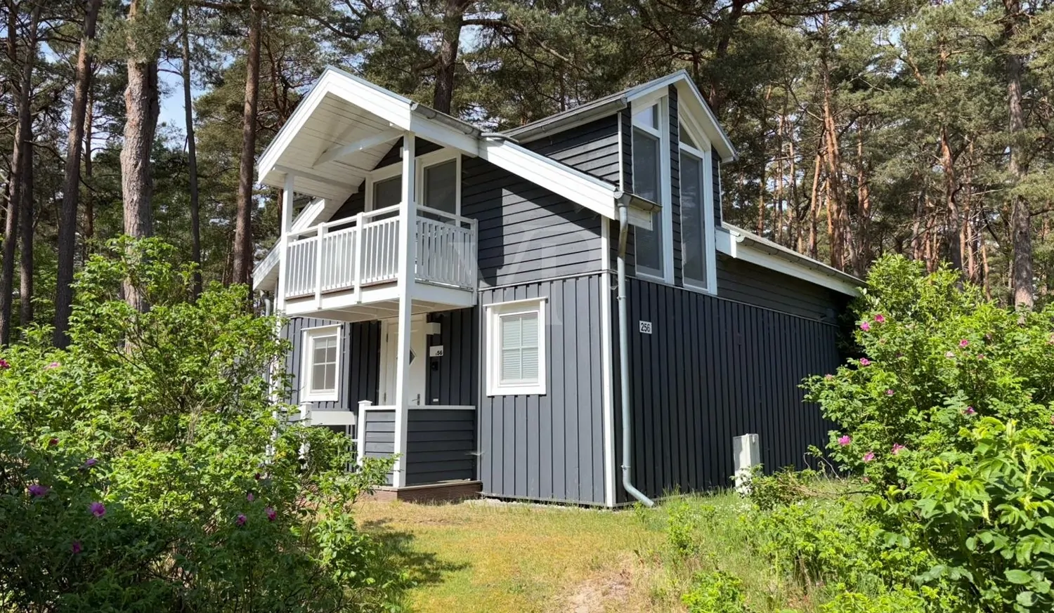 Komfortables Ferienhaus nahe der Ostsee: Ihr Rückzugsort in Baabe