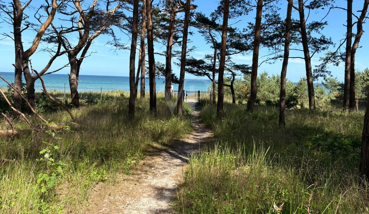 Moderne Wohnung mit hochwertiger Ausstattung in der ersten Reihe zum Ostseestrand