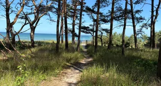 von_poll_real_estate_property_HU515_image_24