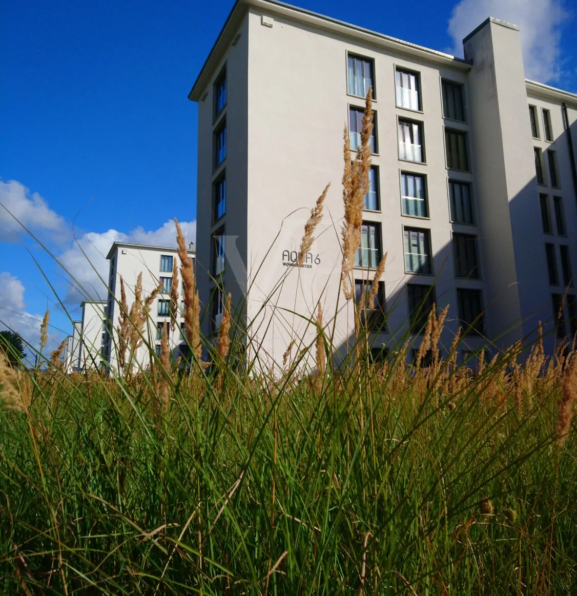 Moderne Wohnung mit hochwertiger Ausstattung in der ersten Reihe zum Ostseestrand