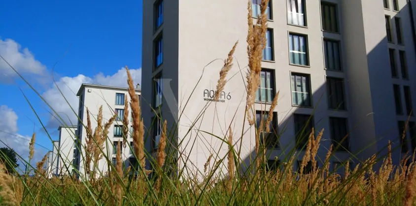 von Poll Immobilien GmbH