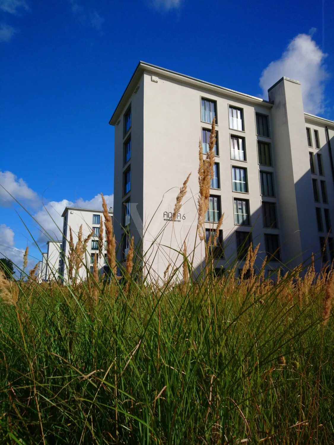 Appartement moderne avec mobilier de haute qualité, situé en première ligne de la plage de la mer Baltique.