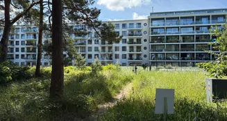 von_poll_real_estate_property_VB231_image_3