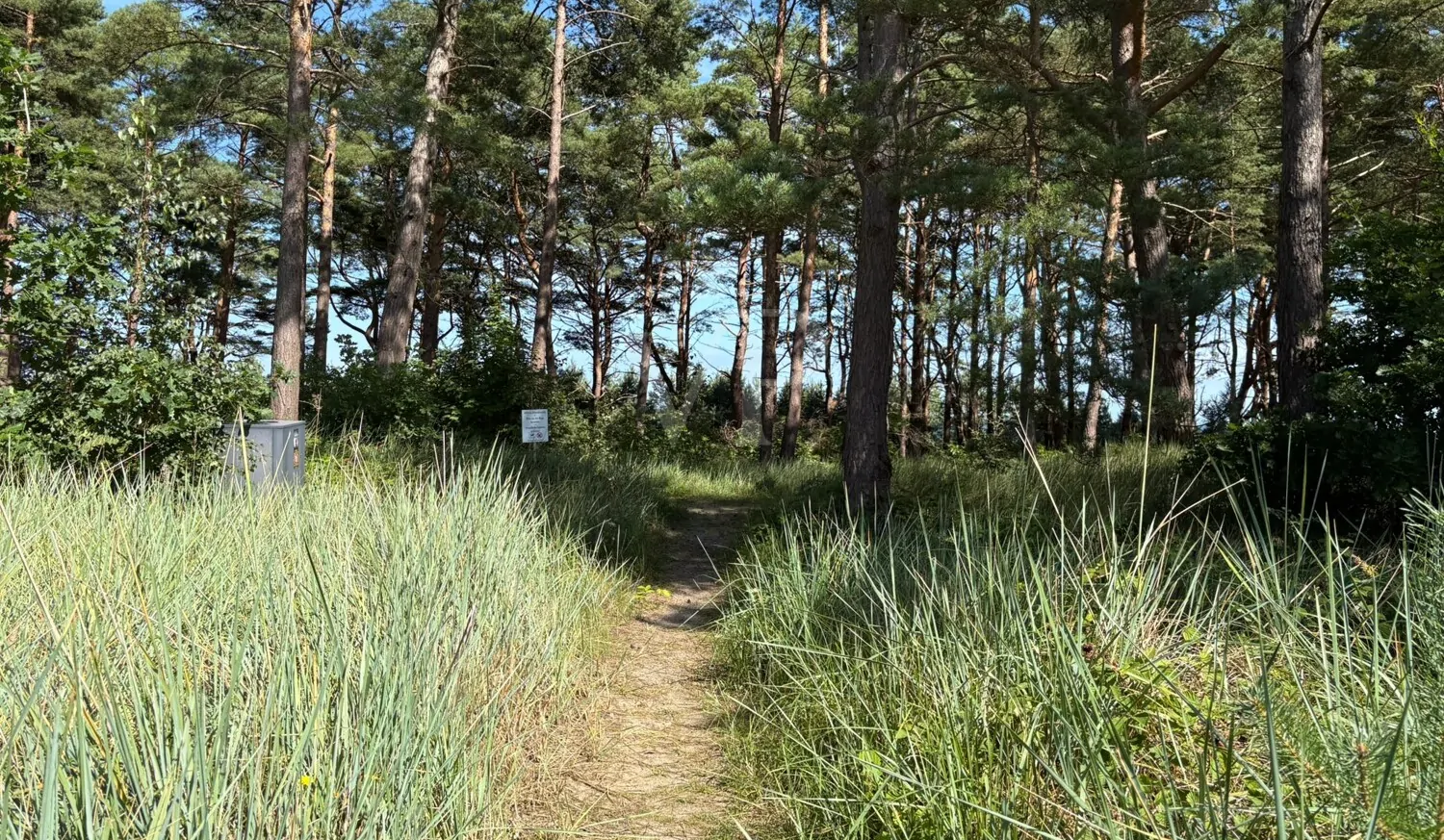 **Moderne Eigentumswohnung mit großem Balkon, Meerblick und Komfortausstattung in Haus 4 Natura – Südstrand 206**