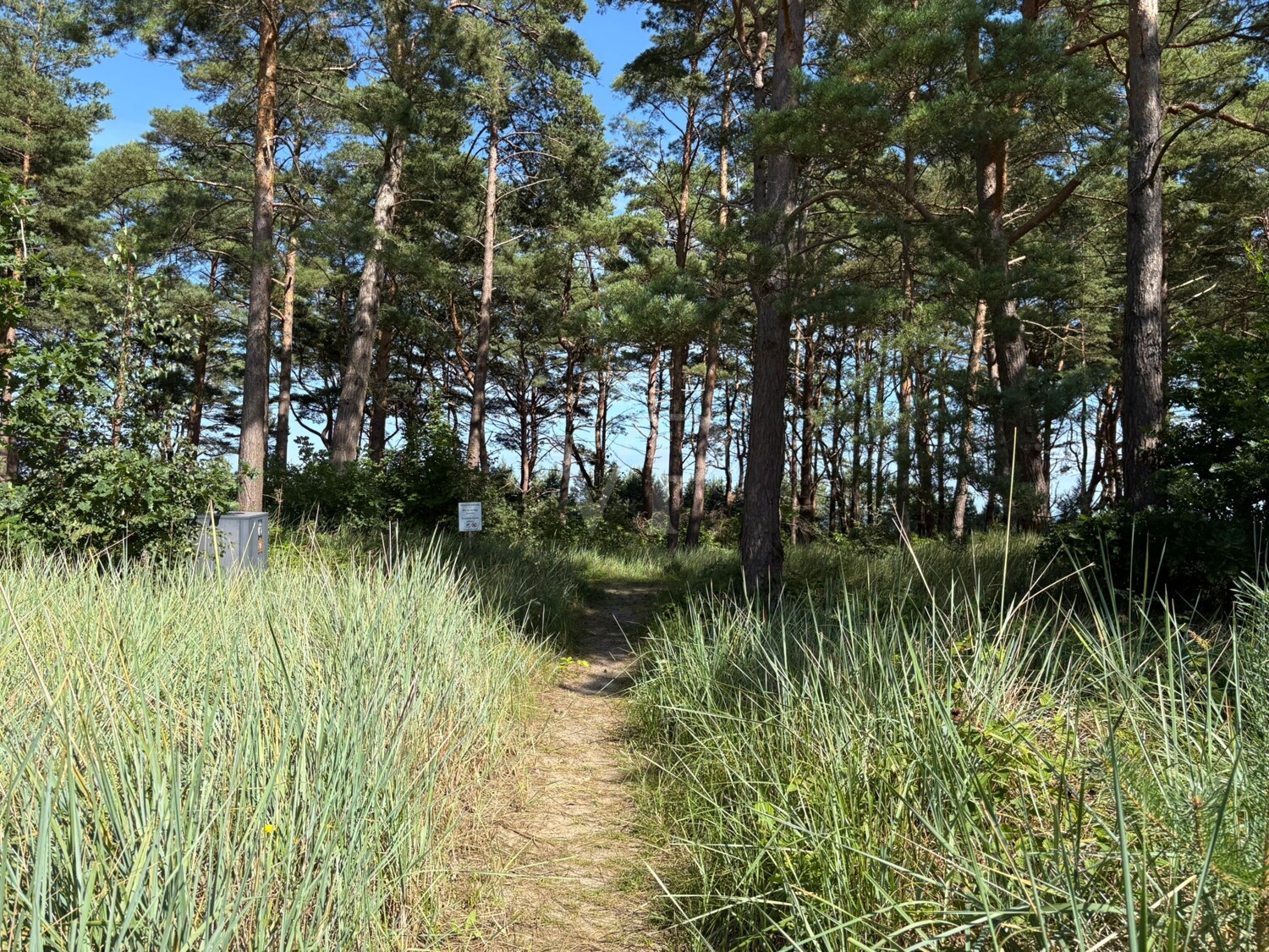 **Moderne Eigentumswohnung mit großem Balkon, Meerblick und Komfortausstattung in Haus 4 Natura – Südstrand 206**