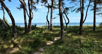 von_poll_real_estate_property_VB231_image_30