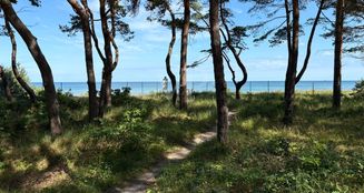von_poll_real_estate_property_VB231_image_30