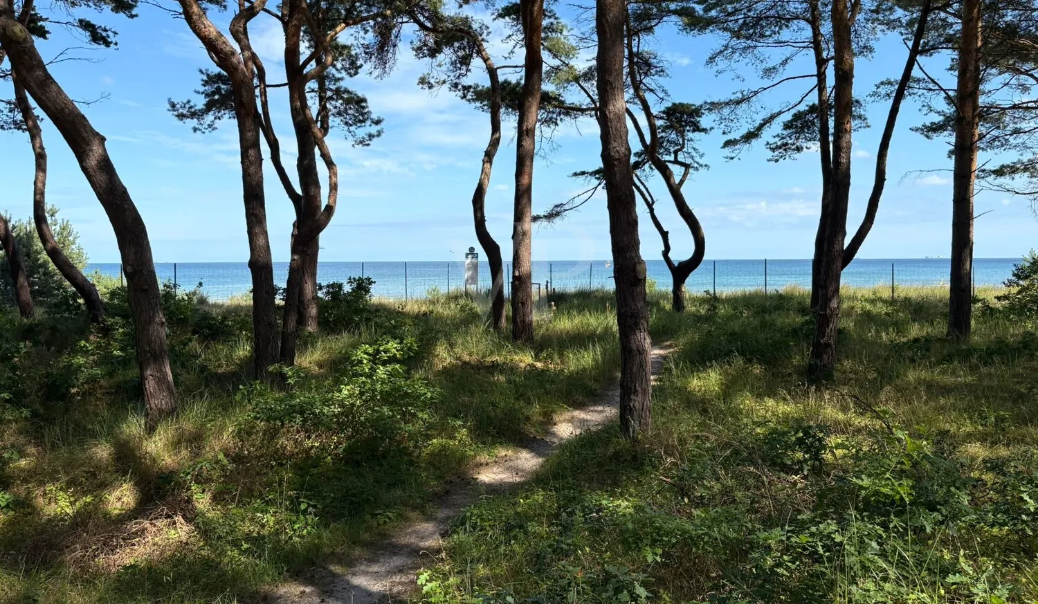 **Moderne Eigentumswohnung mit großem Balkon, Meerblick und Komfortausstattung in Haus 4 Natura – Südstrand 206**