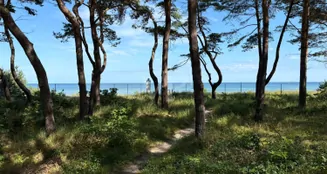 von_poll_real_estate_property_VB231_image_30